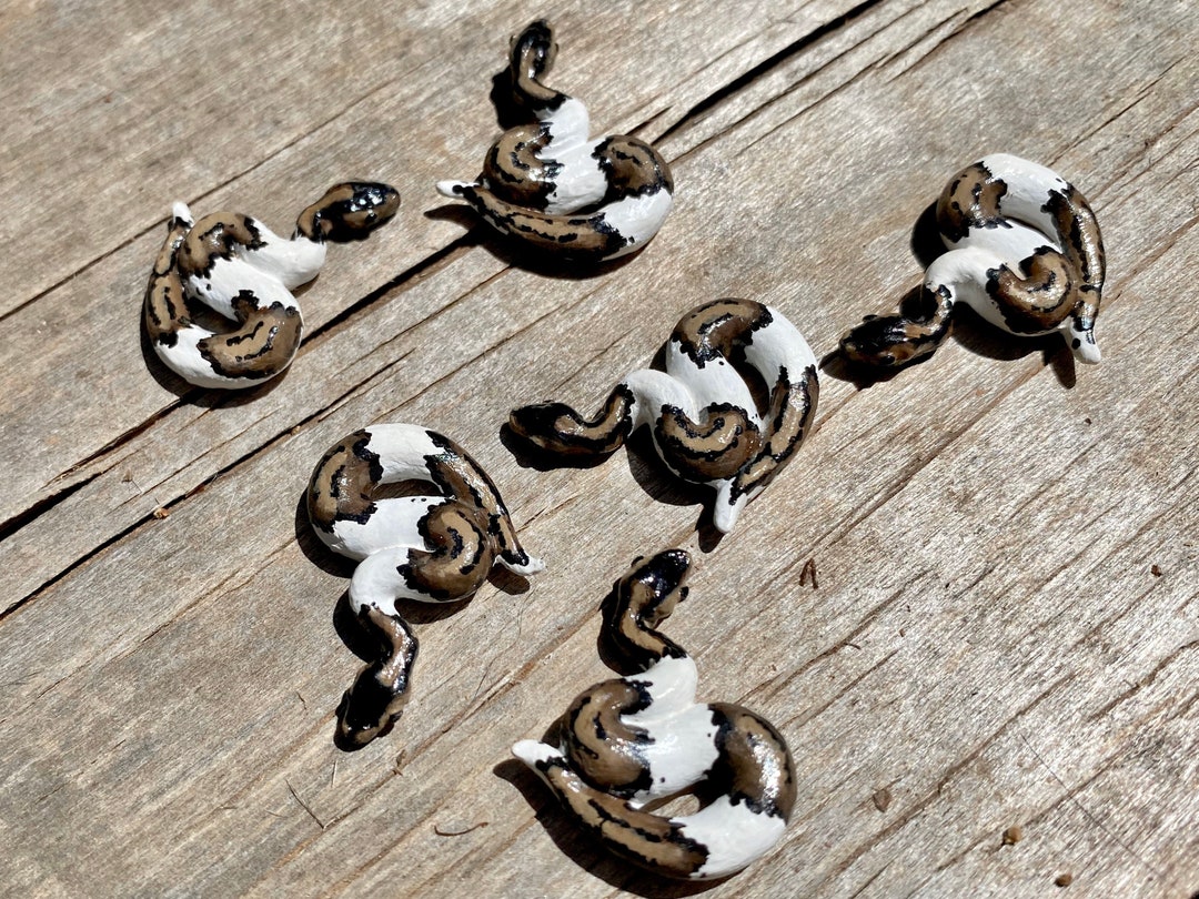 A Miniature Ball Python Snake Polymer Clay (piebald, Banana, Regular ...