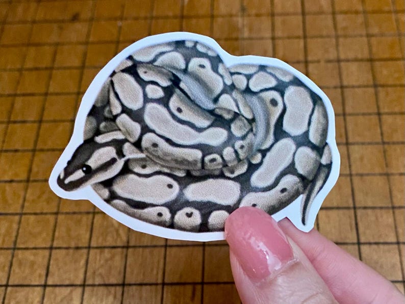 Ball python sticker bild 10