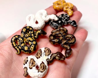 Handmade ball python miniature (piebald, banana, pastel, axanthic, regular, blue eyed leucistic)