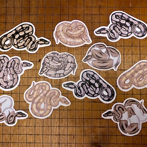 May include: A collection of eleven die-cut stickers featuring various ball python morphs in coiled positions. The snakes display diverse color patterns including shades of brown, tan, cream, black, and white, each with a distinct white border outline.