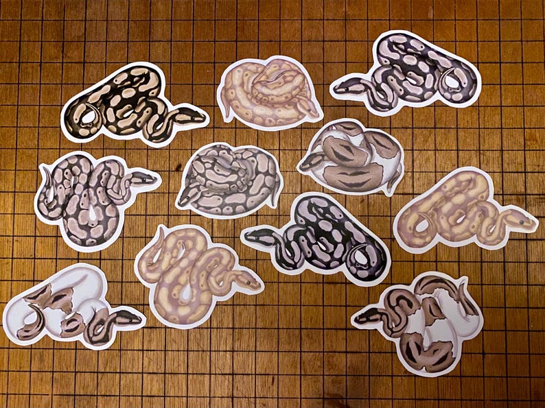 Ball python sticker bild 1