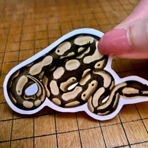 Ball python sticker bild 12