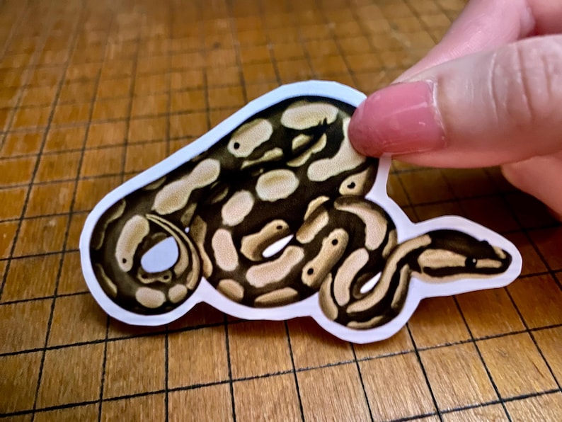 Ball python sticker bild 12