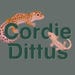 Cordie