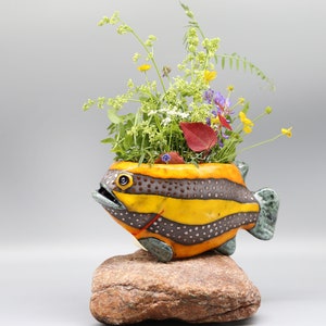 Puede incluir: Un macetero de cerámica en forma de pez amarillo y marrón con manchas negras y rayas amarillas. El macetero está lleno de plantas verdes y pequeñas flores moradas, amarillas y blancas. El macetero está sentado sobre una roca marrón.
