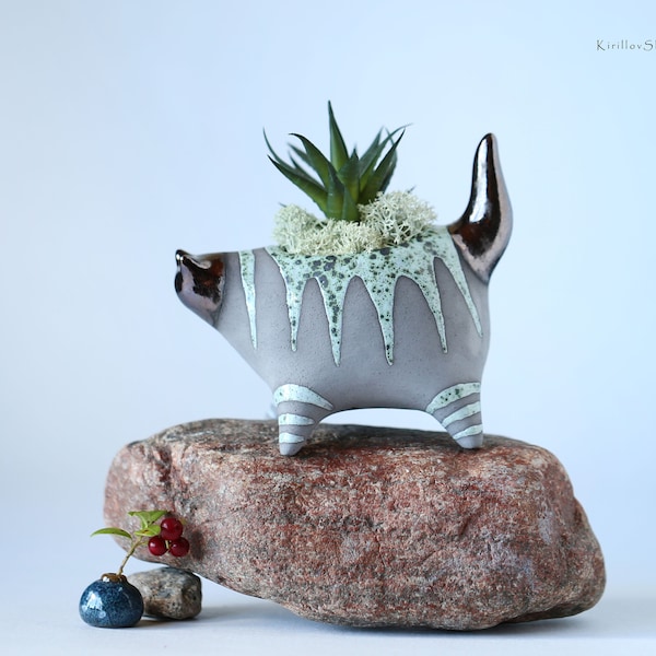 Ceramic planter in the form of a cat for small plants, Small Cactus Planter,  Handmade , MADE TO ORDER