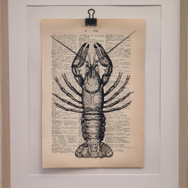 Kunstdruck von einem Hummer, auf Antiker Buchseite, Meer, Lobster, Fisch, Essen, Languste, Meerestiere, Wellen, Maritim, Strand