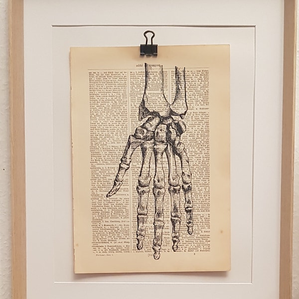 Anatomie Kunstdruck von einer Menschlichen Skelett Hand, auf Antiker Buchseite, Medizin, Arzt, Praxis, Geschenk, Doktor, Knochen