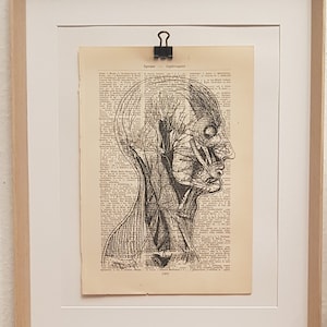 May include: Anatomy art print featuring a detailed black and white illustration of a human head, displayed in a light wood frame. The artwork is clipped to a vintage book page. A white candle sits on a decorative wooden candlestick.