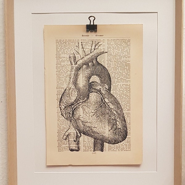 Anatomie Kunstdruck von einem Menschlichen Herzen, auf Antiker Buchseite, Medizin, Arzt, Praxis, Doktor, Herz, Seele, Blut