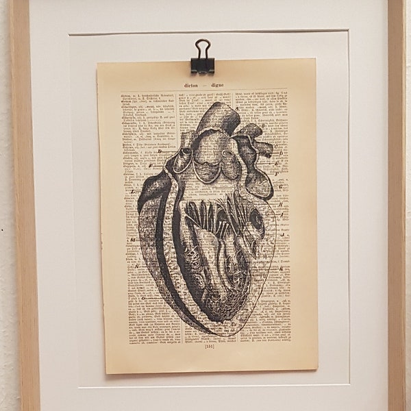 Anatomie Kunstdruck von einem Menschlichen Herzen im Querschnitt, auf Antiker Buchseite, Medizin, Arzt, Praxis, Doktor, Herz, Seele
