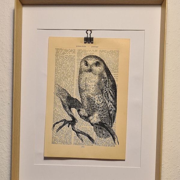 Kunstdruck von einer Eule, auf Antiker Buchseite, Vogel, Uhu, Tier, Fauna, Fliegen, Wald, Baum, Kautz, Nacht