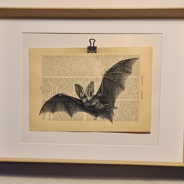 Kunstdruck von einer Fledermaus, auf Antiker Buchseite, Flughund, Nacht, Fliegen, Tier, Fauna, Zoo