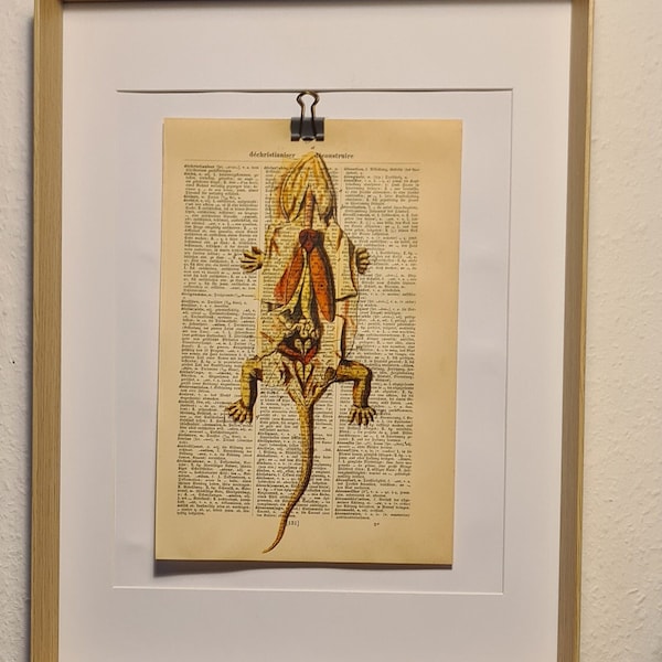 Kunstdruck von einem Anatomie Bild einer Echse, auf Antiker Buchseite, Fauna, Organe, Innereien, Schaubild, Obduktion