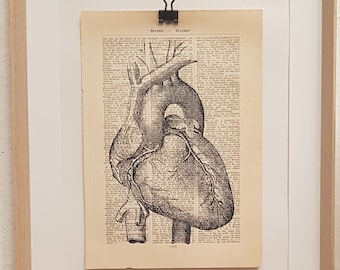 Anatomy art print of a human heart on an antique book page, medicine, doctor, practice, physician, heart, soul, blood, sustainable, vintage
