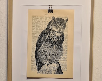 Art print of an owl, on antique book page, bird, eagle owl, animal, fauna, flies, forest, tree, cow, night