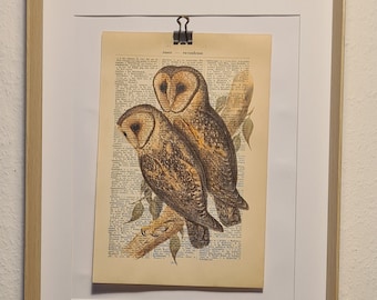 Art print of two barn owls, on antique book page, owl, bird, eagle owl, animal, fauna, flies, forest, tree