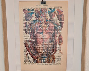 Anatomie Kunstdruck von den Menschlichen Blutbahnen im oberen Körper, auf Antiker Buchseite, Medizin, Arzt, Praxis, Doktor, Venen, Arterien
