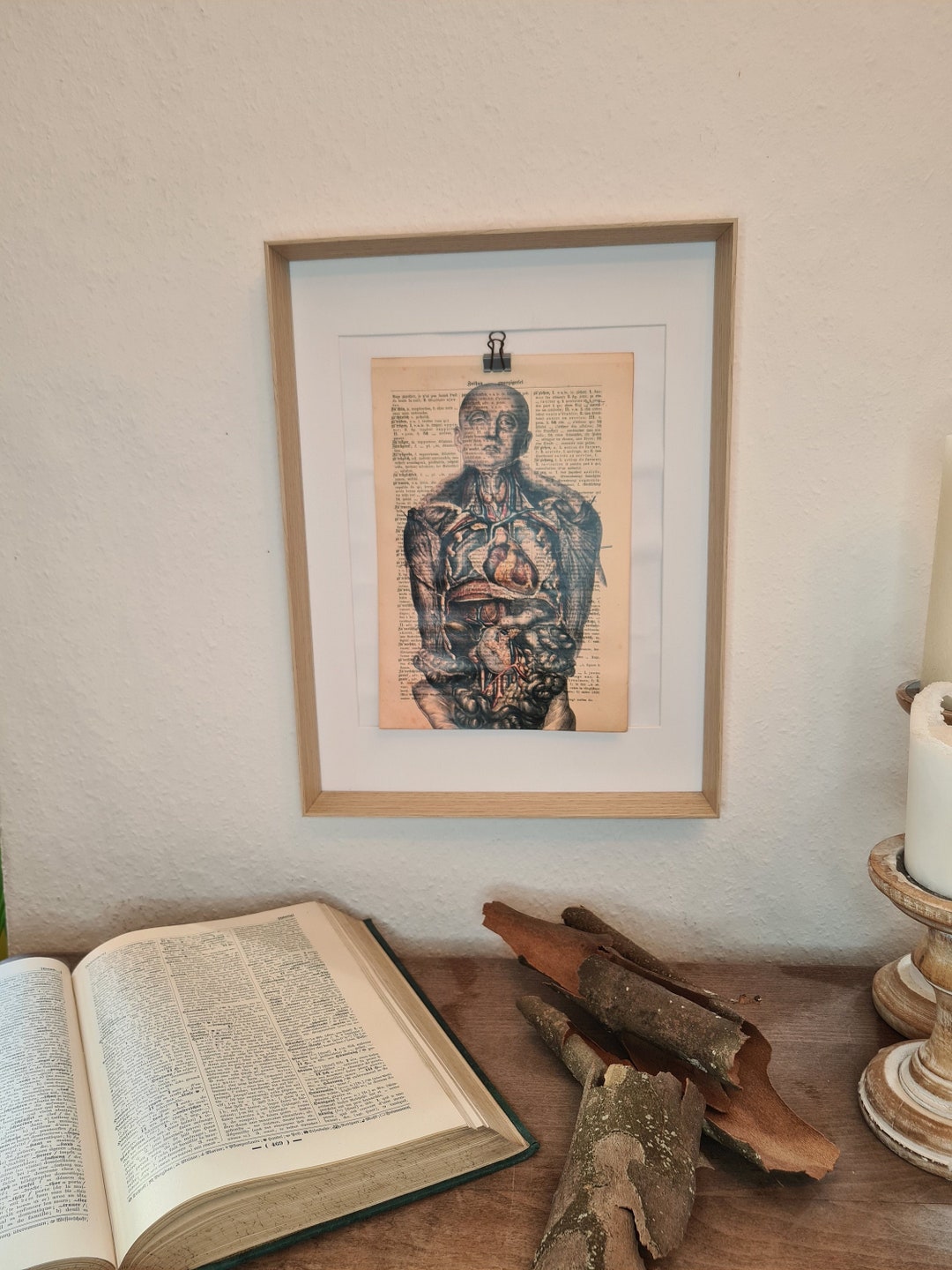 Anatomy Art Print of the Internal Organs of a Human, on an Antique Book ...