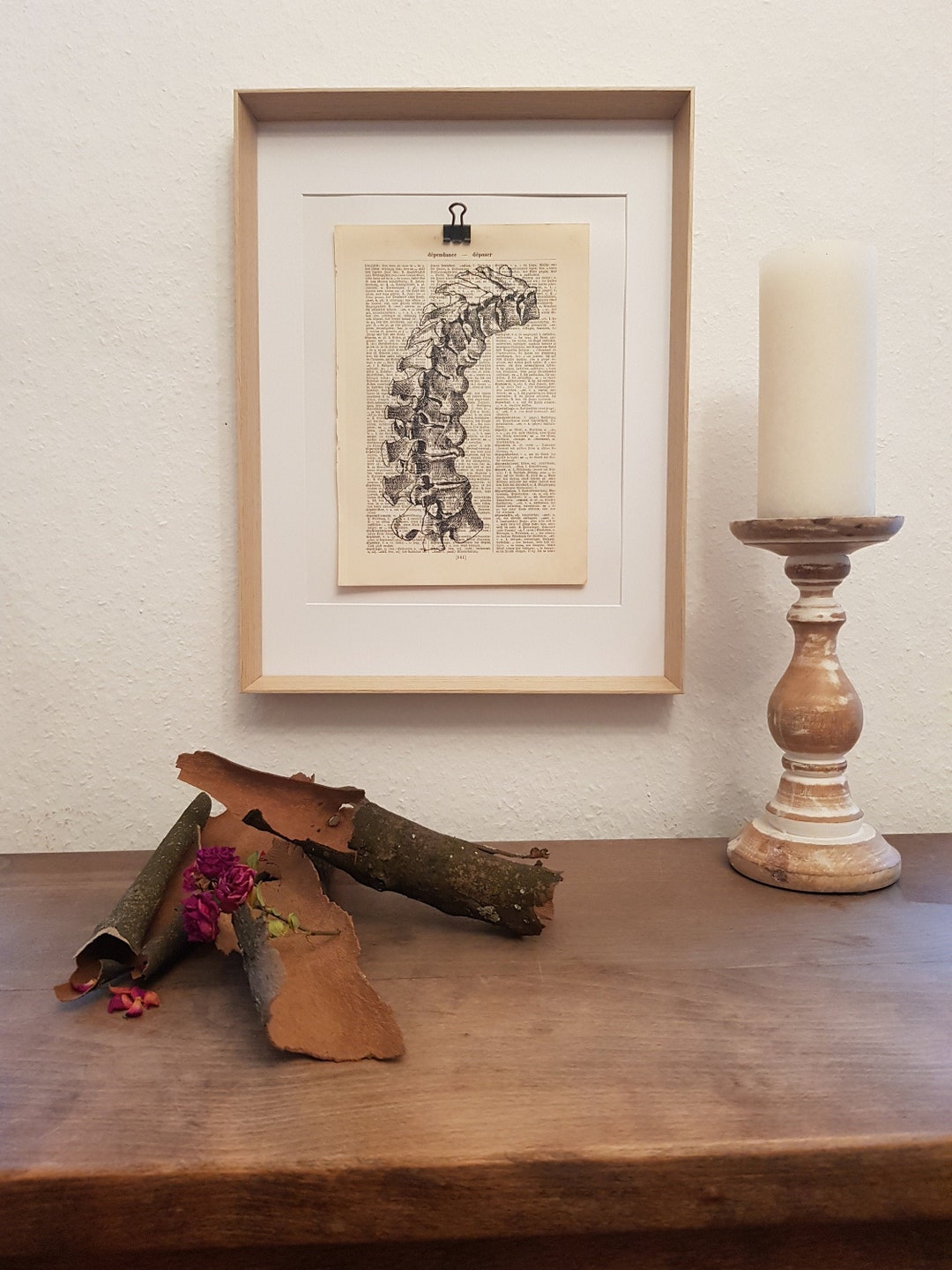 Anatomy Art Print of a Human Skeleton Spine, on an Antique Book Page ...