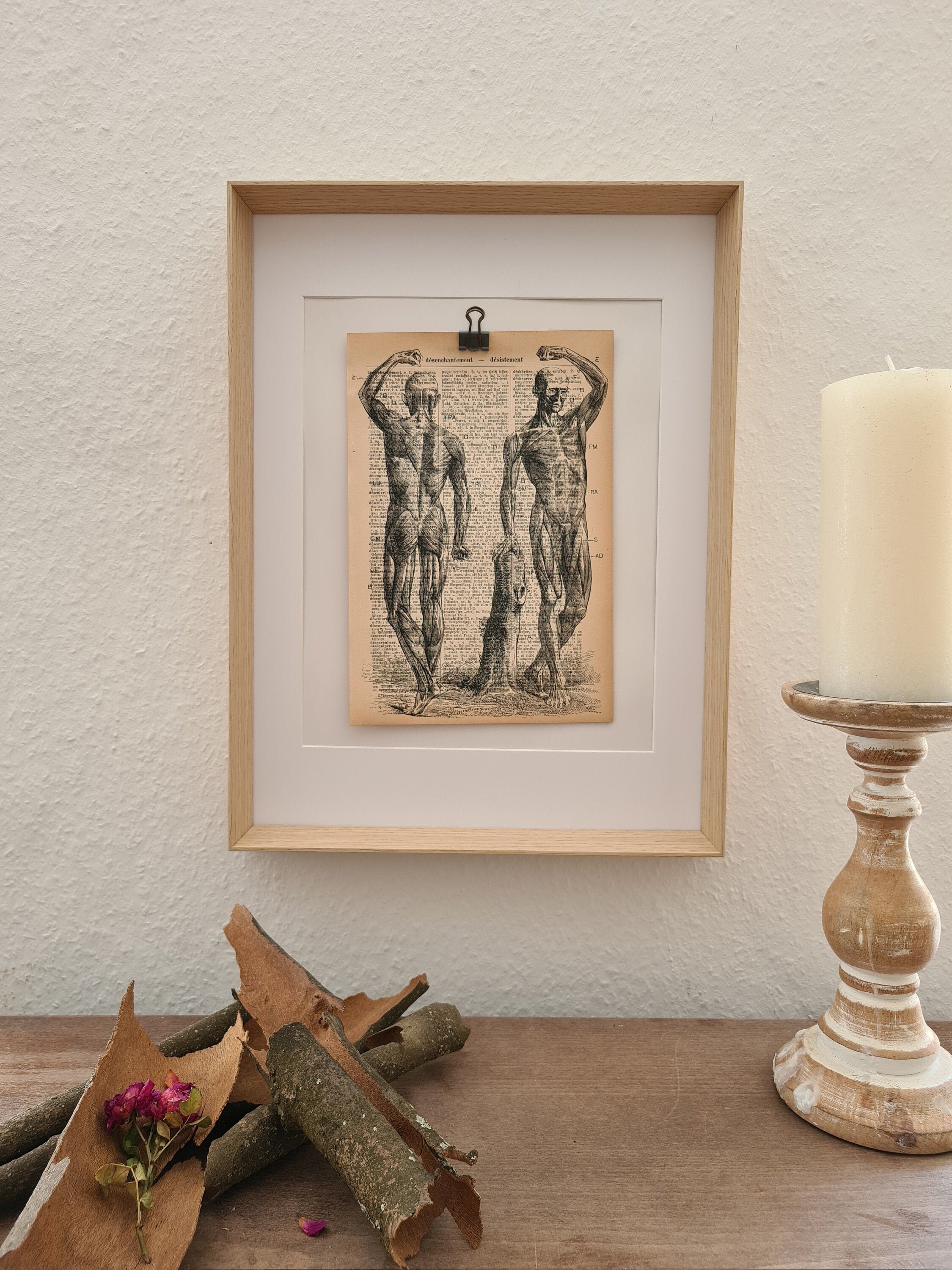 Anatomy Art Print of a Human Body With Muscles, on an Antique Book Page ...