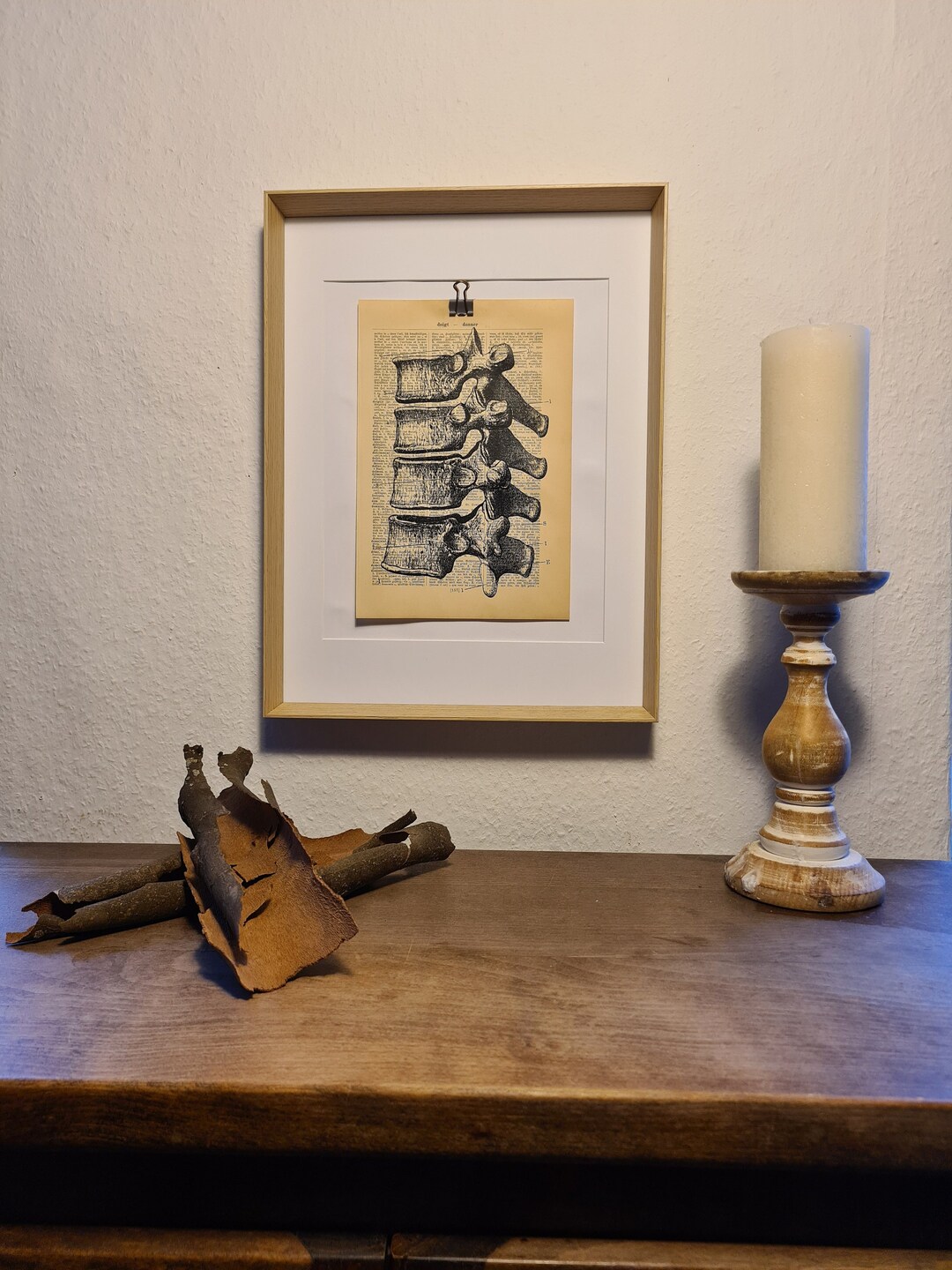 Anatomy Art Print of a Human Skeleton Spine, on an Antique Book Page ...