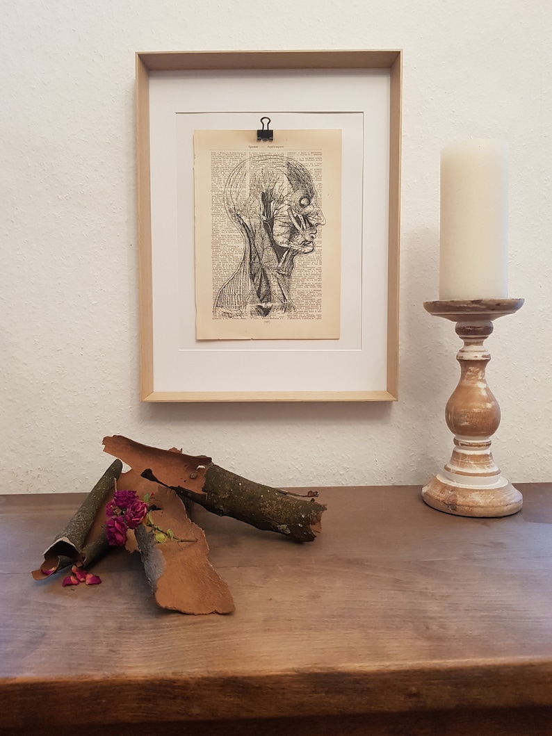 May include: Anatomy art print featuring a detailed black and white illustration of a human head, displayed in a light wood frame. The artwork is clipped to a vintage book page. A white candle sits on a decorative wooden candlestick.