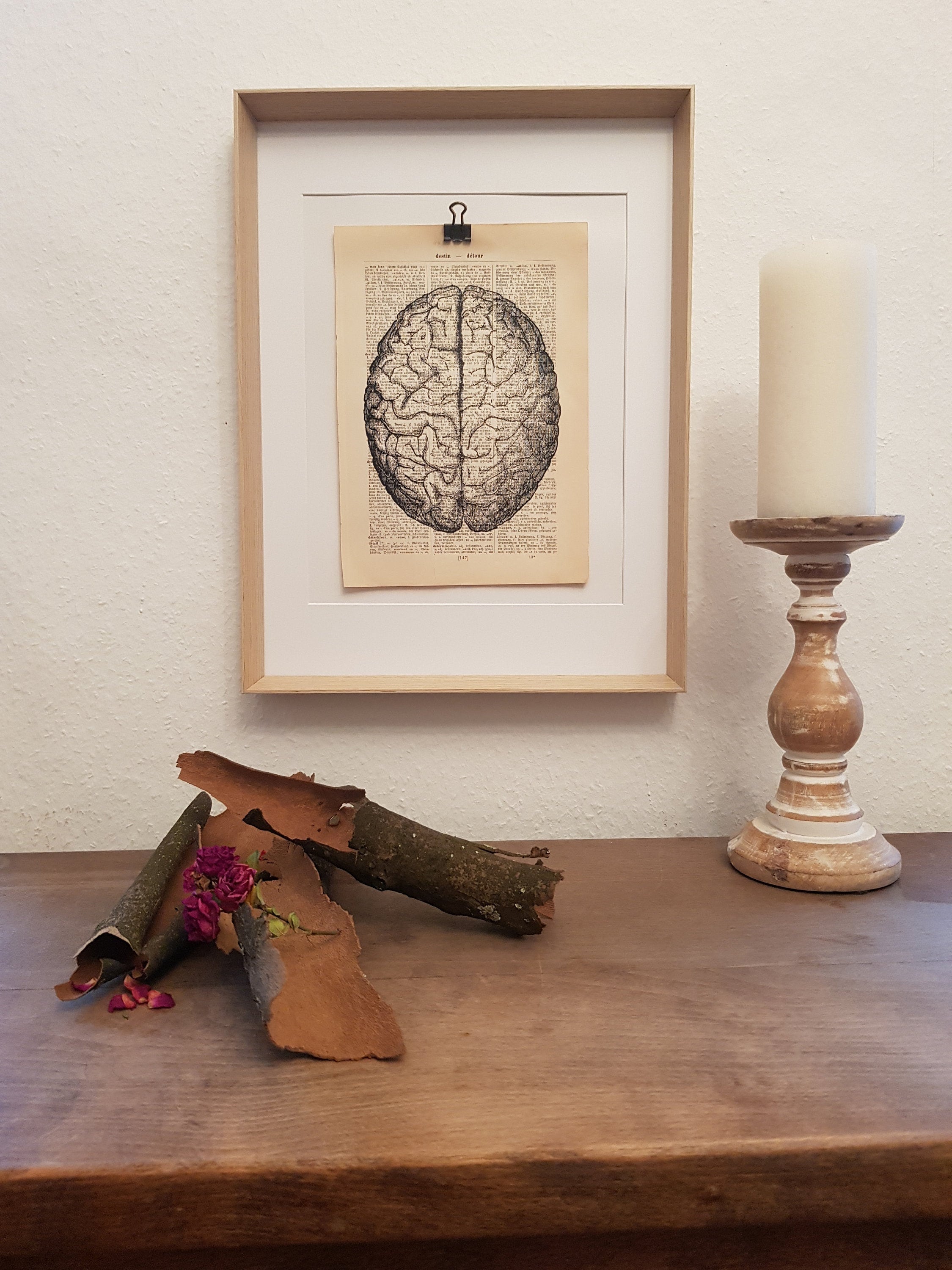 Anatomy art print of a human brain, on an antique book page, medicine, doctor, practice, brain, nerve center, sustainable