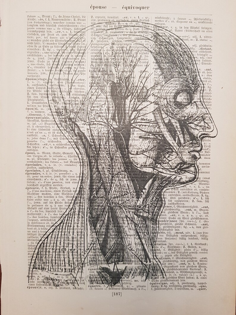 May include: An anatomical illustration of a human head in profile, revealing the internal structure of the brain, nerves, and muscles, set against a backdrop of aged book pages.