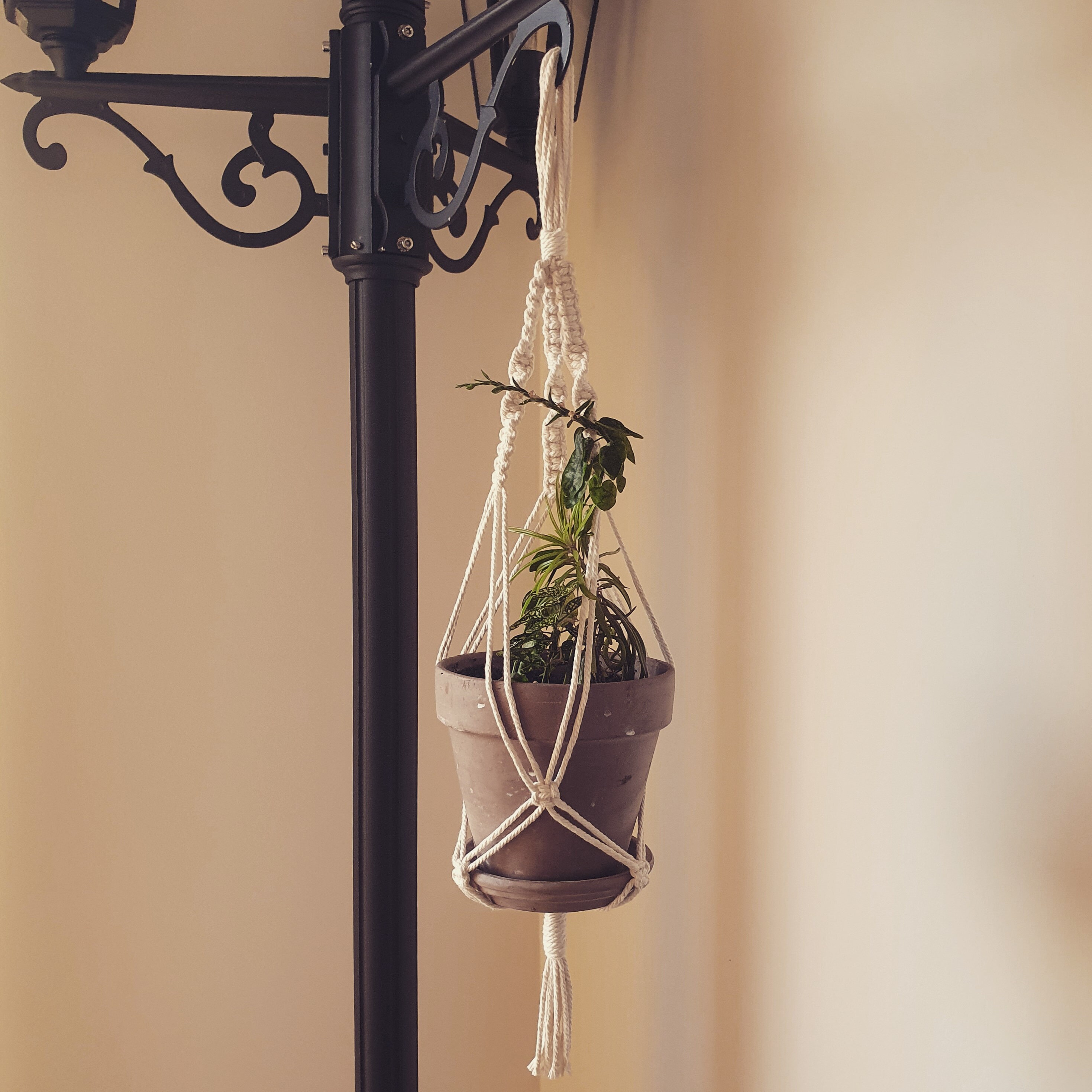 Suspension Pot de Fleur en Macramé