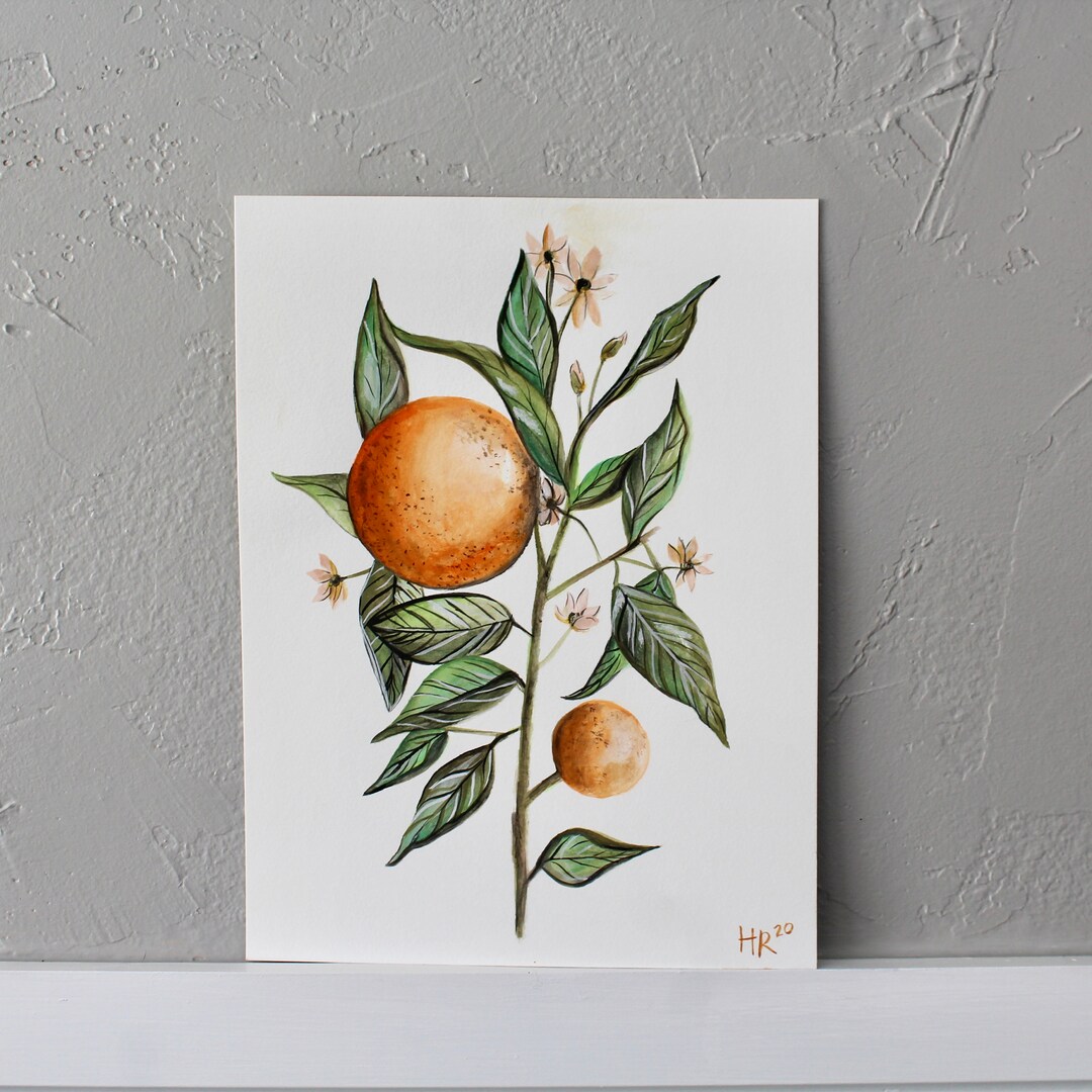 Clementine Watercolor Print Etsy