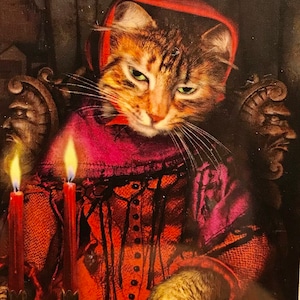 The Baroque Boho Cats RARE OOP Tarot Cards 2011, Fortune Teller limited edition tarottas schoudertas, verzegeld boek met harde kaft Baba Studio