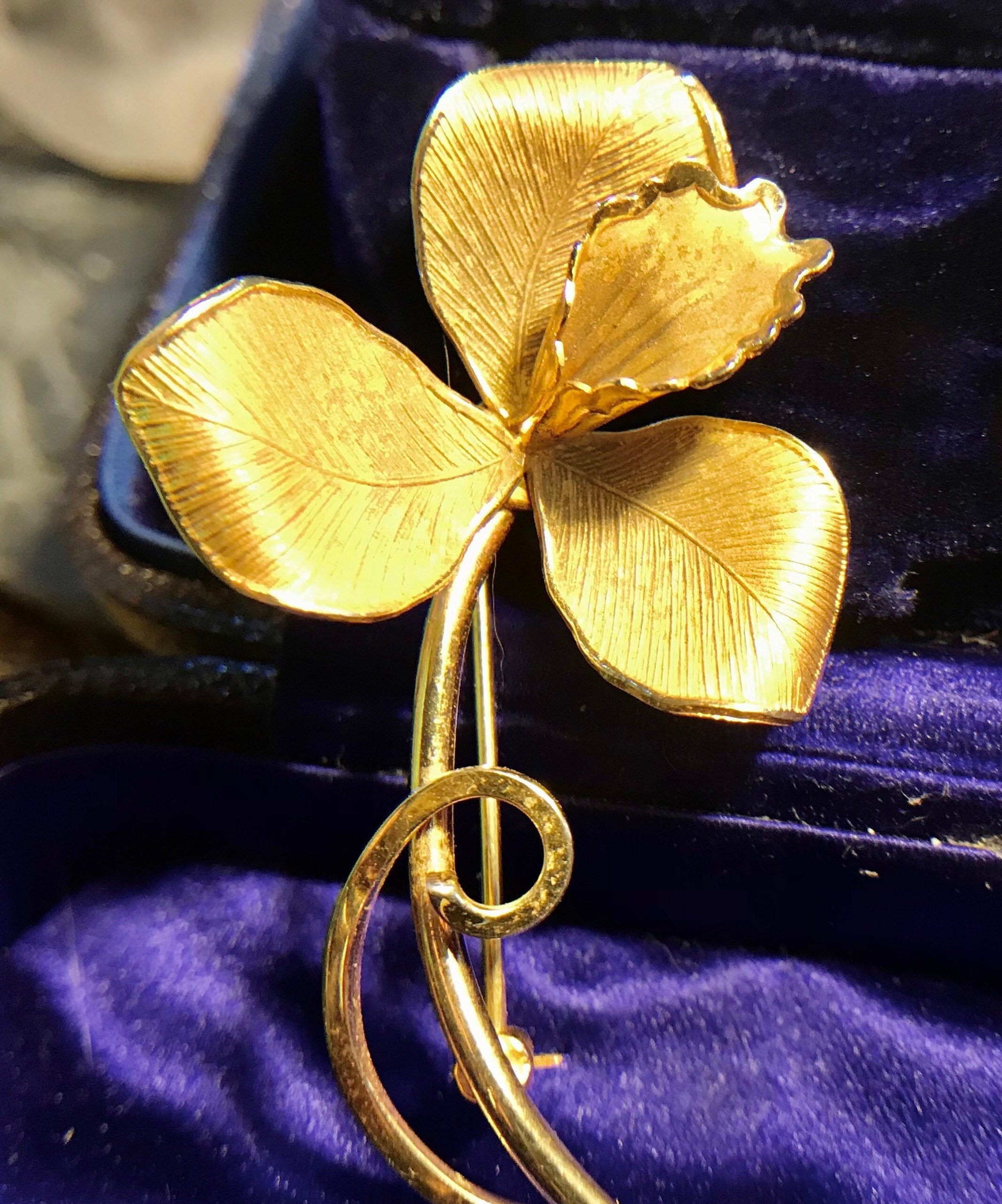 _ Ｌ'ｉｌｙ_ Cloud Sky for Youth | Blue & Black | On United States