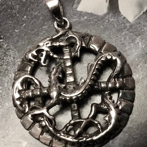 Zilver, ZELDZAAM, draak in steencirkelraam, schild, hanger, vintage, zilver 925