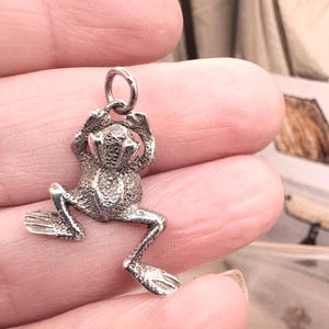 May include: A silver-toned metal charm shaped like a frog with a textured, bumpy surface. The frog is depicted in a leaping or swimming pose with its front legs raised near its head and its back legs extended. A small circular jump ring is attached.