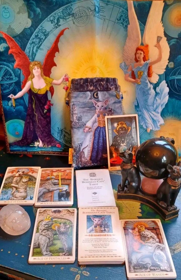 The Baroque Bohemian Cats Tarot - Etsy