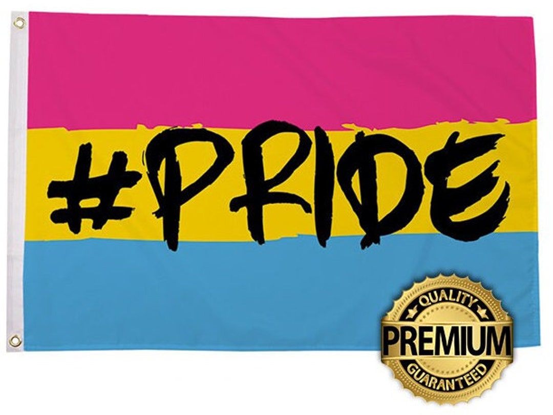 Pansexual PRIDE Flag Large Premium Quality Pans Flag 5ft X 3ft Double ...