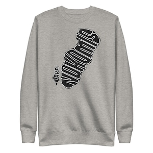 Lake Nokomis Unisex Premium Sweatshirt, Minneapolis Minnesota Shirt, Lake Shirt