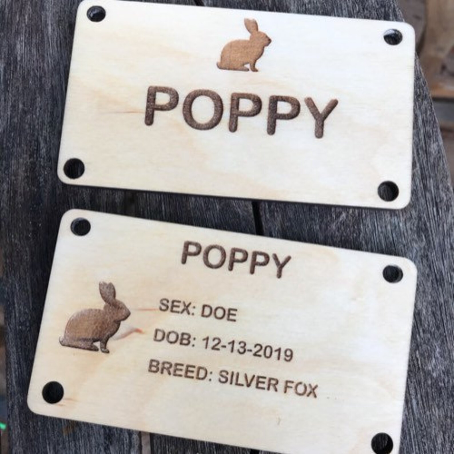 Engraved Rabbit Hutch Cards Wood Rabbit Hutch Cards Custom Etsy