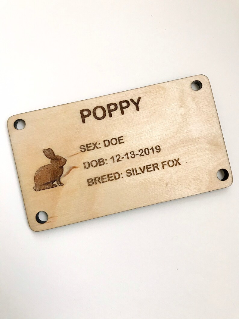 Engraved Rabbit Hutch Cards Wood Rabbit Hutch Cards Custom Etsy