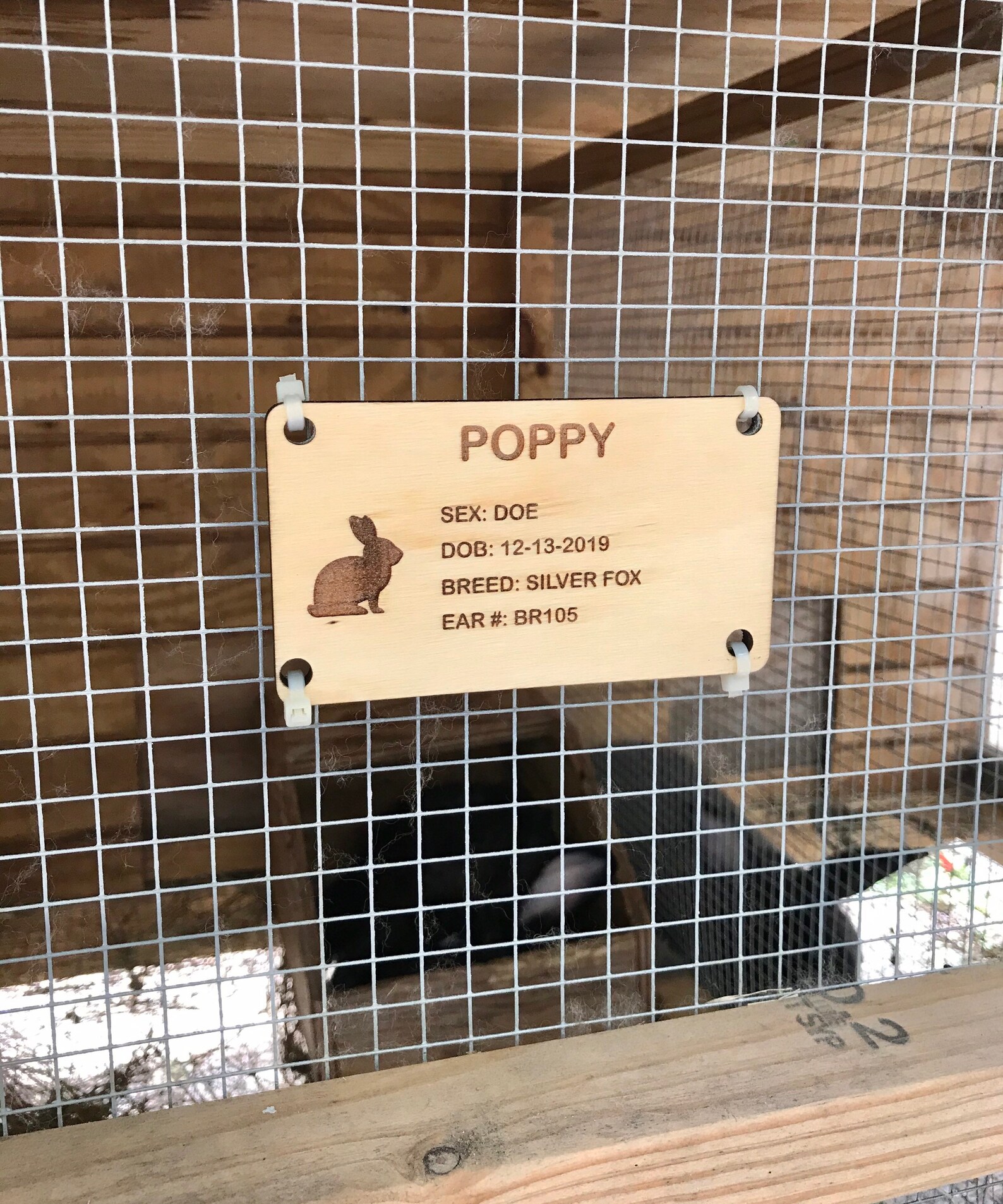 Engraved Rabbit Hutch Cards Wood Rabbit Hutch Cards Custom Etsy