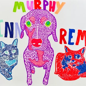 Op de afbeelding: Een handgetekend beeld van drie huisdieren: een paarse hond genaamd "Murphy", een blauwe kat genaamd "Finn" en een rode kat genaamd "Remy".