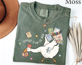 Comfort Colors® Silly Goose Special Education Teacher Shirt, Custom Teacher Back To School Tee, Elementary Teacher, Funny SPED Teacher Shirt