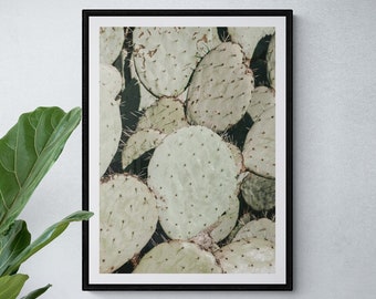 Prickly Pear Cactus Print | Pastel Green | Botanical | Nature | Photography | Wall Art | Framed or Unframed