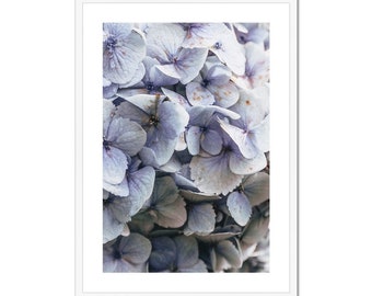 Blue Hydrangea Framed Photography | Flowers | Botanicals | Spring | Wall Decor | Framed & Mounted Print | Wall Art