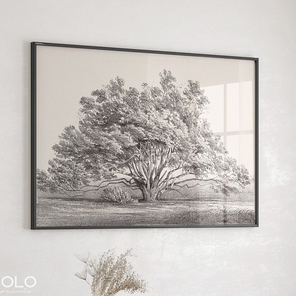 Printable Wide Tree Drawing, Tree Wall Art, Vintage Sketch Enhanced, Digital Farmhouse Print