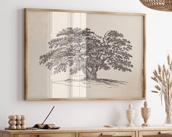 Wide Oak Tree Sketch Print, Printable Vintage Tree Drawing Enhanced, Downloadable Farmhouse Print