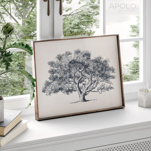 Oak Tree Drawing Print, Printable Wall Art, Vintage Tree Sketch Enhanced, Digital Farmhouse Print