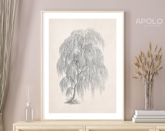 Tree Sketch Print, Printable Willow Tree Art, Vintage Drawing Enhanced, Downloadable Print, Farmhouse Digital Print