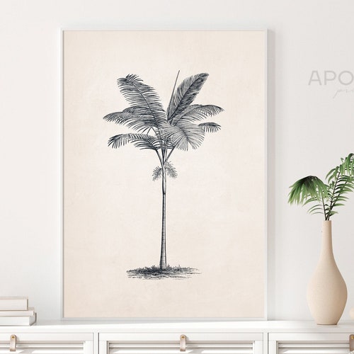 Antique Palm Tree Wall Art Print Palm Tree Botanical Etsy Australia